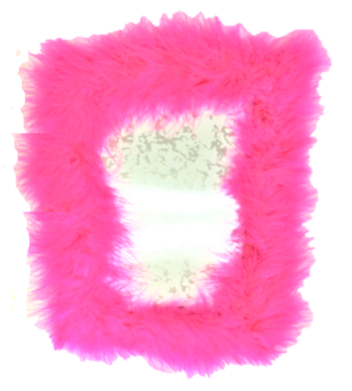 Feather Heart Photo Frame  |產品名稱|絨毛系列|羽毛系列
