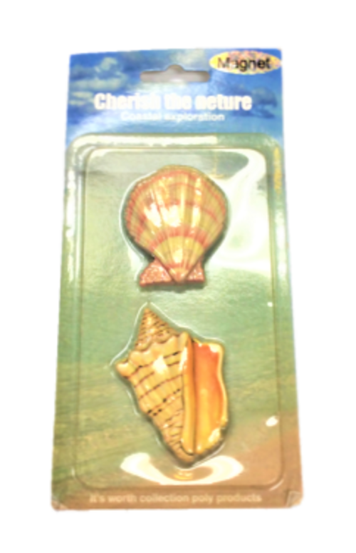 Clam Shape Magnet  |產品名稱|文具/包裝|色彩文具