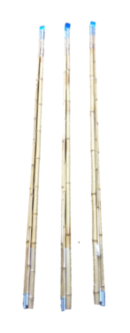 Bamboo Fishing Rod  |產品名稱|運動用品|釣魚用具